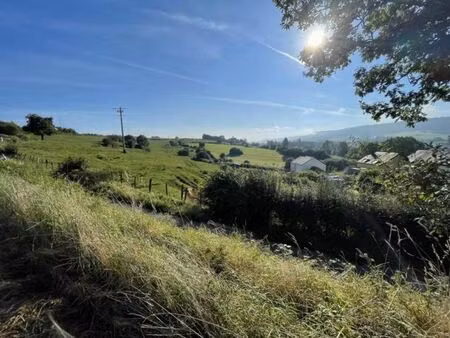 baranzy – terrain de 23 ares