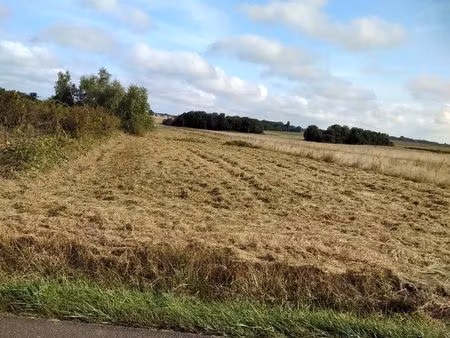 couddes 41700 et st romain / cher : loue terrain de loisir...