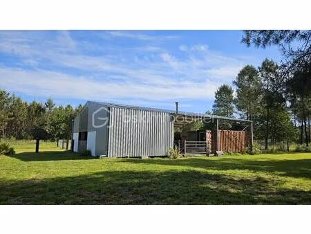 terrain agricole de 10 000 m² à mios