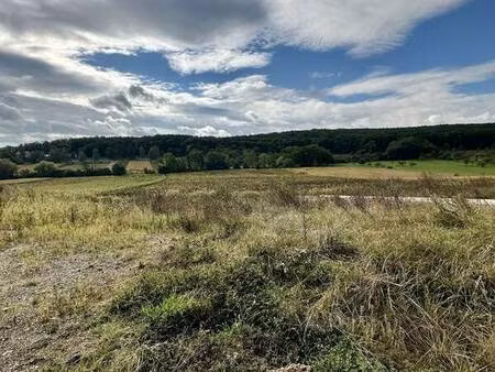 magnifique terrain à rosenwiller
