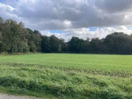 vente terrain à locronan (29180) : à vendre / 978m² locronan