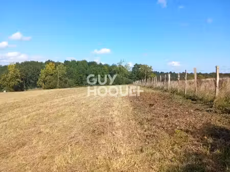 doazon (64370): terrain constructrible de 2000 m2.