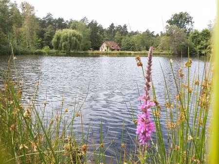 vente maison 4 pièces 161 m² rougeou (41230)