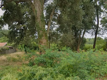 vente terrain 949 m² à magescq (40140)  115 000 €