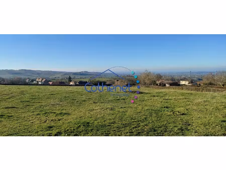 terrain constructible