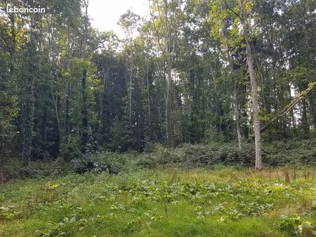 terrain 45 700 m² saint connan