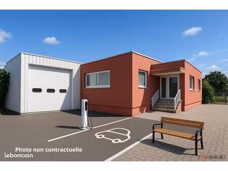 local 1050 m² riedisheim