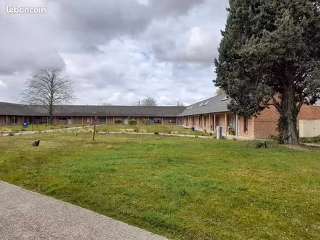 appartement 59 m² merville