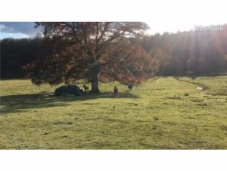 terrain pour chevaux de 3ha