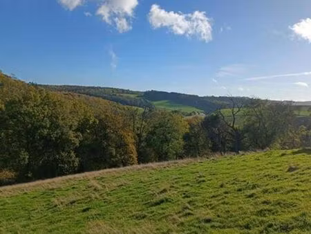 terrain à bâtir avec vue bucolique.