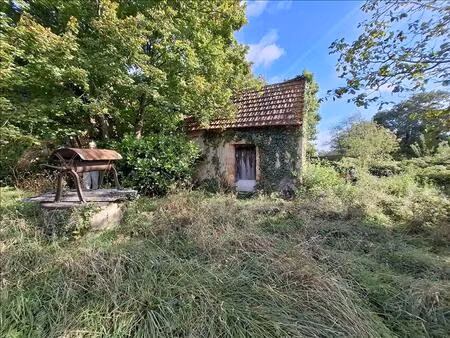 vente maison 2 pièces 70 m² vesdun (18360)