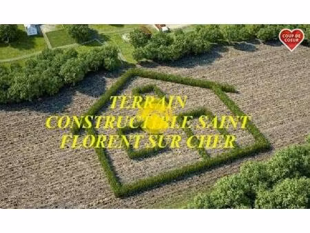 vente maison 1 pièce chârost (18290)