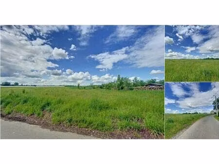 terrain à lotir à vendre de 7700 m² à mettet (vbb78887)