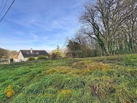 vente terrain 446 m2 à verzy