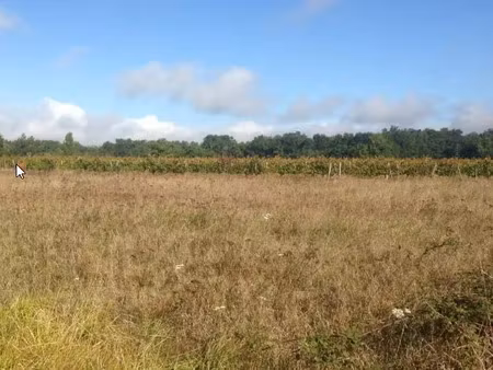 vente terrain 800 m² à saint-maixant (33490)  72 000 €