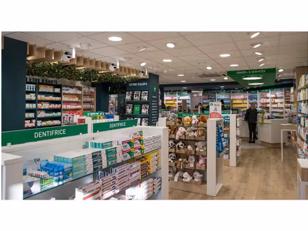 immeuble villeneuve la guyard 208m2