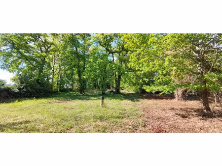 vente terrain 2177 m² à villefranche-de-lonchat (24610)  54 500 €