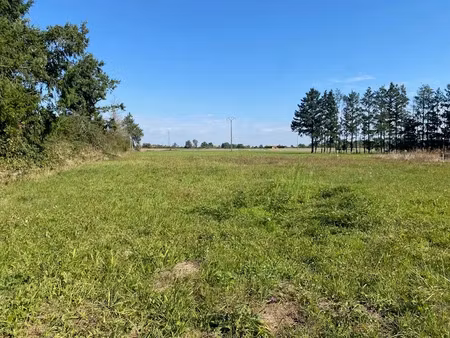 vente terrain 3000 m² à saint-rémy-en-rollat (03110)  55 000 €