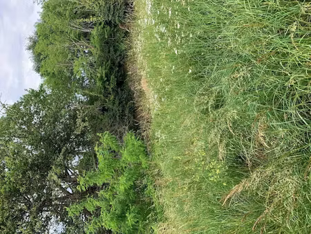 vente terrain 700 m² à génissac (33420)  89 000 €