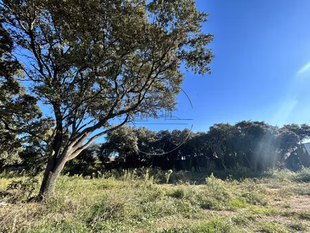 lots de terrains à vendre à saint bres