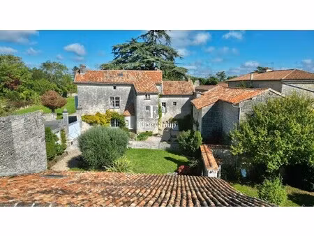 maison de luxe à vendre à tusson