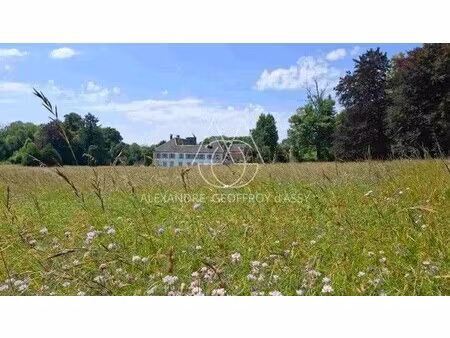 château à vendre à colombey-les-deux-églises
