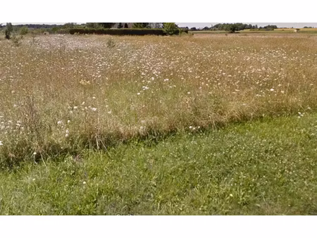 vente terrain 1600 m² à les montils (41120)  63 000 €