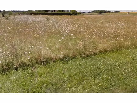 vente terrain à les montils (41120)  63 000 €