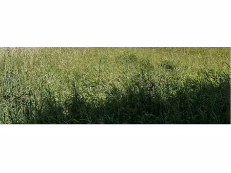 vente terrain à checy (45430)  117 700 €