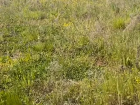 vente terrain 500 m² à checy (45430)  105 900 €