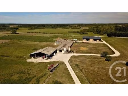 terrain à vendre - 37628 m2 - chatillon sur cher - 41 - centre