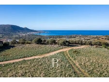 terrain de 4000 m2 - corbara  france