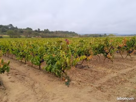 parcelles de vigne 22 ha