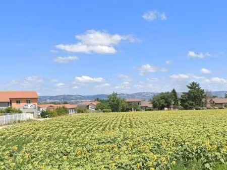 terrain 450 m² viriville