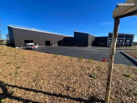 local 2000 m² guipavas