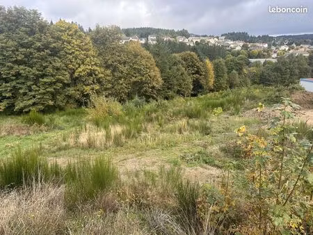 terrain 4608 m² le chambon-sur-lignon