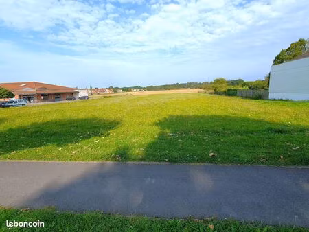 terrain 4800 m² frignicourt