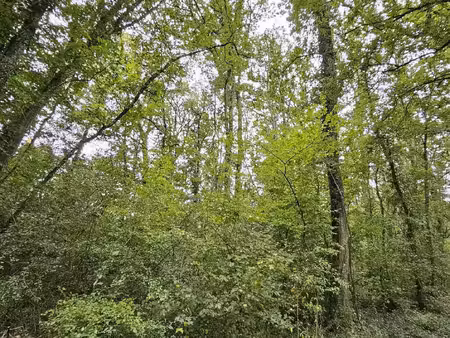 terrain à 5min de pont-sur-yonne
