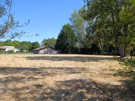 vente terrain 1384 m² linxe (40260)