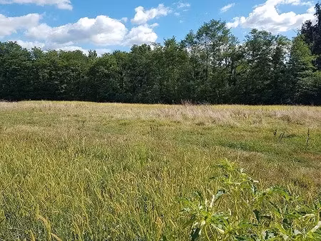 vente terrain 620 m² à pomarez (40360)  44 020 €