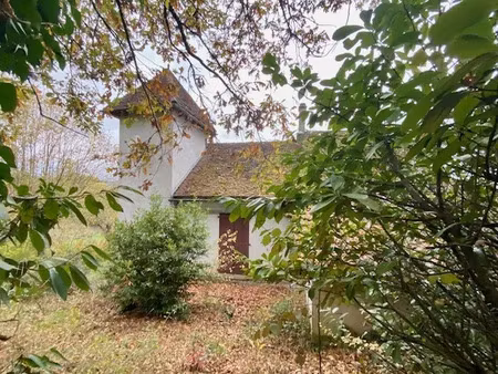 vente terrain 2952 m² à saint-michel-de-bannières (46110)  58 000 €