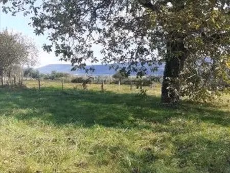 vente terrain 890 m² à buthiers (70190)  67 000 €