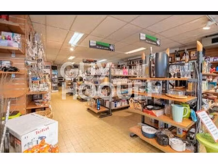 immeuble boen 8 pièce(s) 500 m2