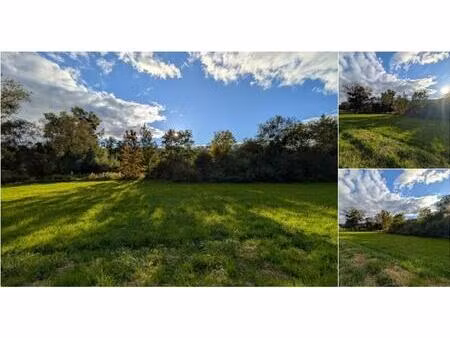 terrain à vendre de 3620 m² à ruette (vbb82093)