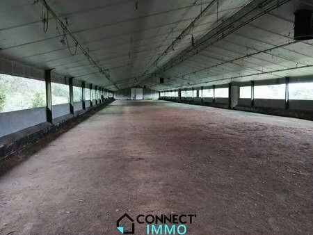 vente bureaux et commerces à plévin (22340) : à vendre / 1000m² plévin