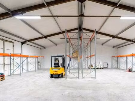 bien professionnel à louer à opoeteren € 1.500 (kx4ek) - dewaele - maaseik | zimmo