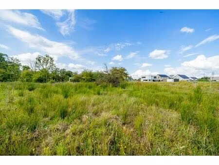 terrain à bâtir à vendre à beaufays