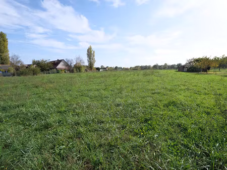 vente terrain 4620 m² savonnières (37510)