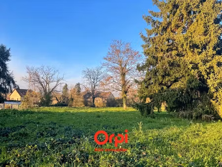 vente terrain 2095 m² à nassigny (03190)  20 000 €