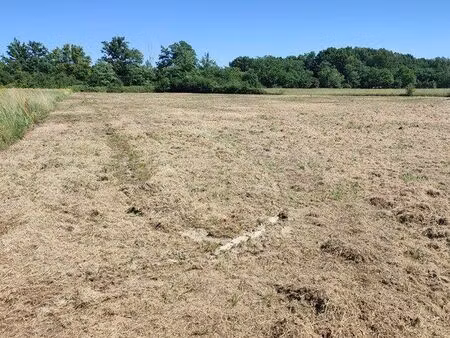 vente terrain 1520 m² saint-étienne-de-tulmont (82410)